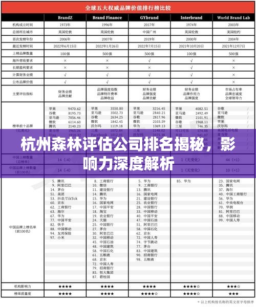 杭州森林評估公司排名揭秘,影響力深度解析