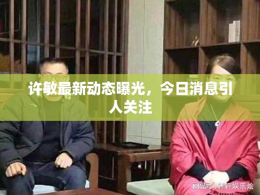 許敏最新動態曝光,今日消息引人關注