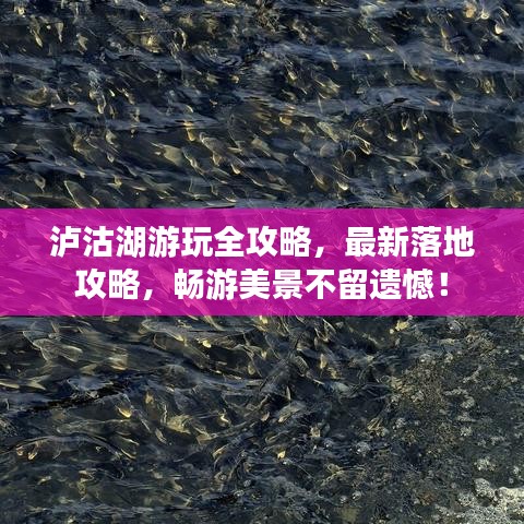 瀘沽湖游玩全攻略,最新落地攻略,暢游美景不留遺憾!