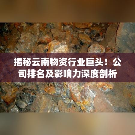 揭秘云南物資行業巨頭!公司排名及影響力深度剖析