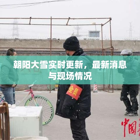 朝陽大雪實時更新,最新消息與現(xiàn)場情況