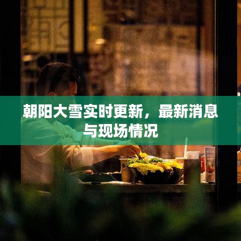 朝陽大雪實時更新,最新消息與現場情況