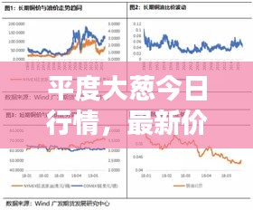 平度大蔥今日行情,最新價(jià)格走勢(shì)深度解析