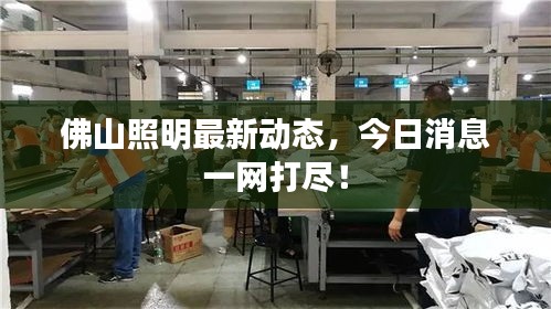 佛山照明最新動態,今日消息一網打盡!