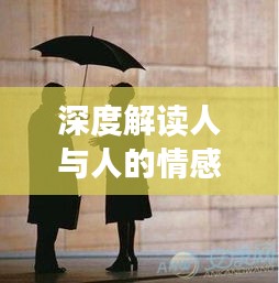 深度解讀人與人的情感連接，心心相照的魅力