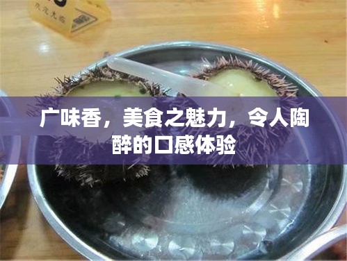 廣味香，美食之魅力，令人陶醉的口感體驗