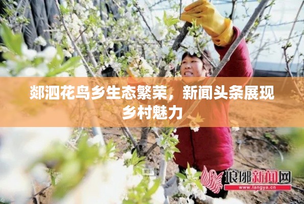 郯泗花鳥鄉生態繁榮，新聞頭條展現鄉村魅力