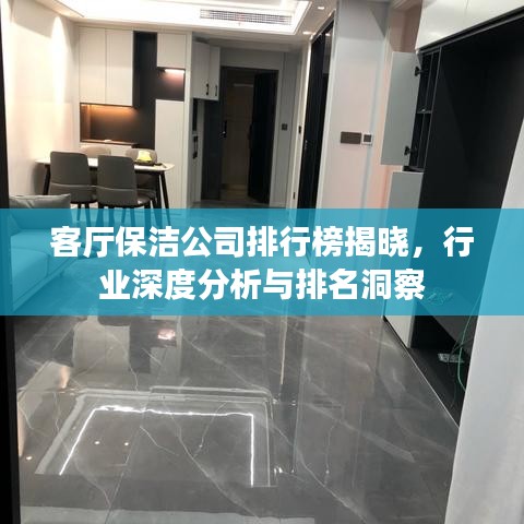 客廳保潔公司排行榜揭曉,行業(yè)深度分析與排名洞察