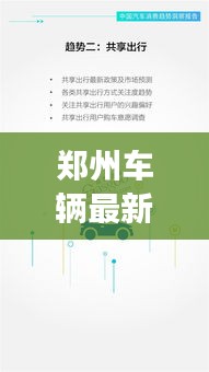 鄭州車輛最新報告揭秘,今日交通狀況全面解析