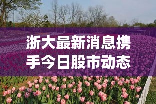 浙大最新消息攜手今日股市動態,一網打盡,不容錯過