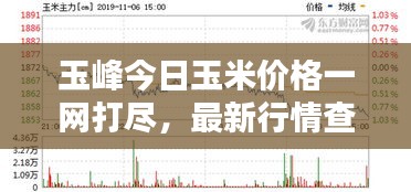 玉峰今日玉米價格一網(wǎng)打盡，最新行情查詢