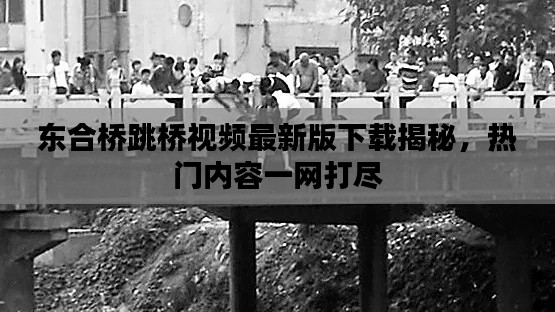 東合橋跳橋視頻最新版下載揭秘，熱門內(nèi)容一網(wǎng)打盡