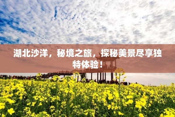 湖北沙洋,秘境之旅,探秘美景盡享獨特體驗!