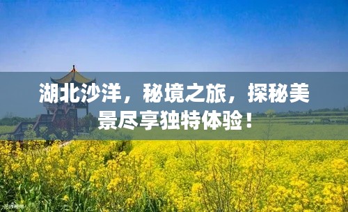 湖北沙洋,秘境之旅,探秘美景盡享獨特體驗!