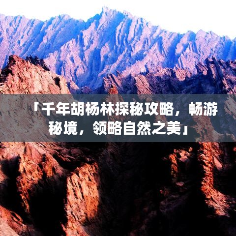 「千年胡楊林探秘攻略，暢游秘境，領略自然之美」