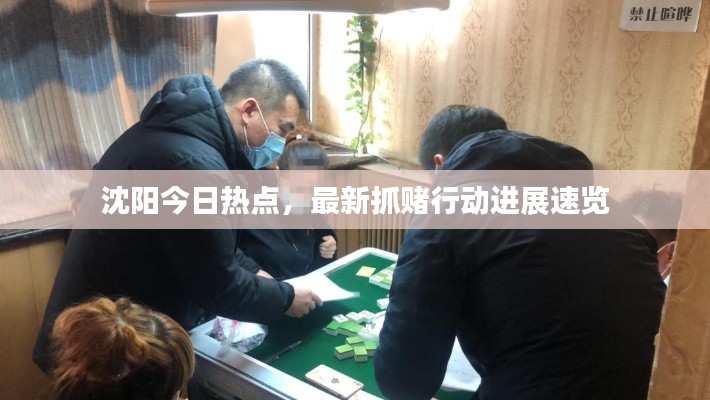 沈陽今日熱點,最新抓賭行動進展速覽