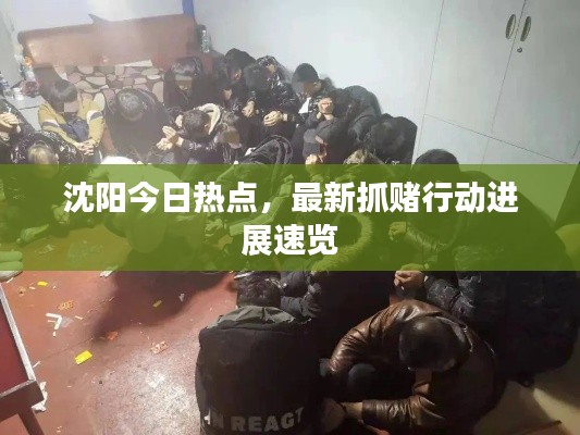 沈陽今日熱點,最新抓賭行動進展速覽