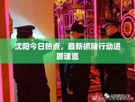 沈陽今日熱點,最新抓賭行動進展速覽