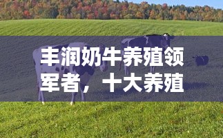 豐潤奶牛養(yǎng)殖領(lǐng)軍者，十大養(yǎng)殖企業(yè)榮耀上榜