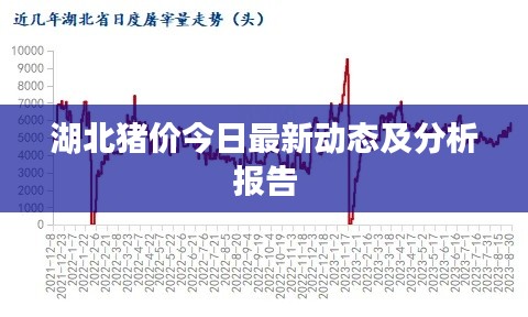 湖北豬價今日最新動態及分析報告