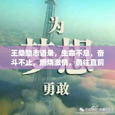 鐵石心腸 第3頁(yè)