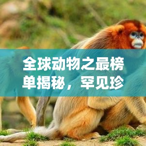 全球動物之最榜單揭秘,罕見珍稀生物震撼排名!