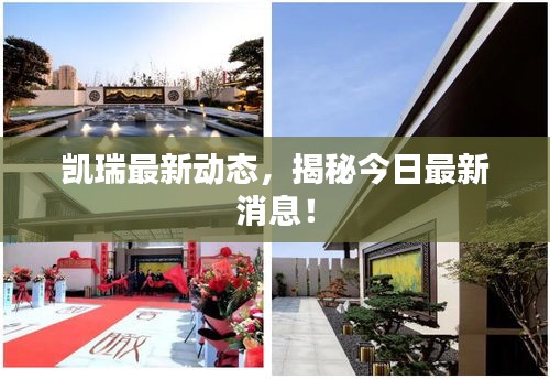 凱瑞最新動態，揭秘今日最新消息！