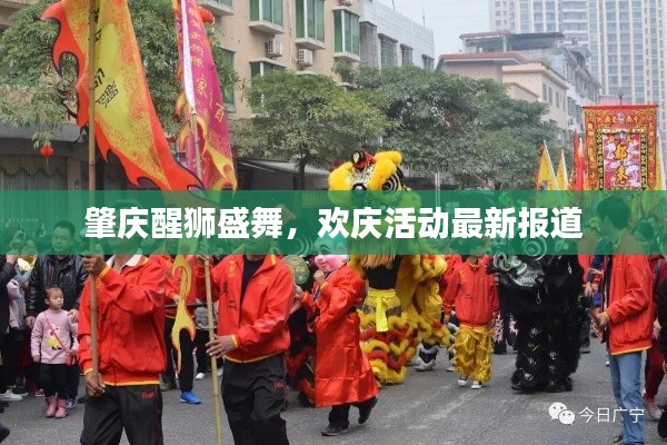 肇慶醒獅盛舞，歡慶活動最新報道