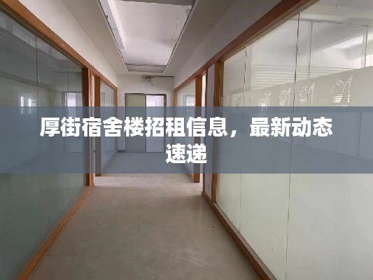 厚街宿舍樓招租信息，最新動態(tài)速遞