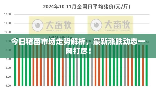 今日豬苗市場(chǎng)走勢(shì)解析,最新漲跌動(dòng)態(tài)一網(wǎng)打盡!
