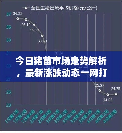今日豬苗市場(chǎng)走勢(shì)解析,最新漲跌動(dòng)態(tài)一網(wǎng)打盡!