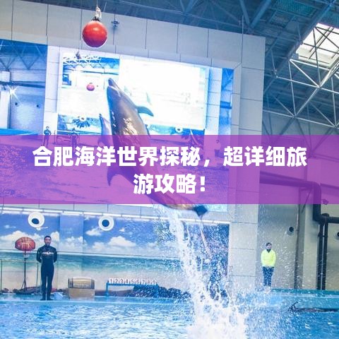 合肥海洋世界探秘,超詳細旅游攻略!