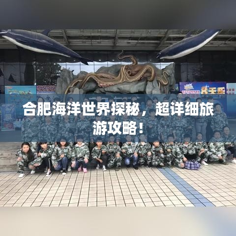 合肥海洋世界探秘,超詳細旅游攻略!