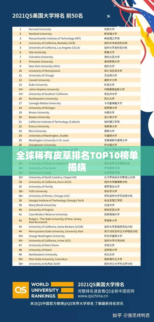 全球稀有皮草排名TOP10榜單揭曉
