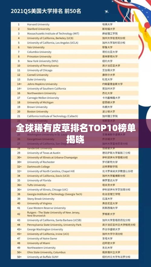 全球稀有皮草排名TOP10榜單揭曉