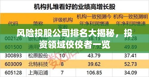 風(fēng)險(xiǎn)投股公司排名大揭秘,投資領(lǐng)域佼佼者一覽