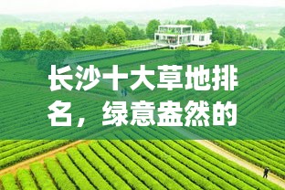 長(zhǎng)沙十大草地排名,綠意盎然的城市綠洲盤(pán)點(diǎn)