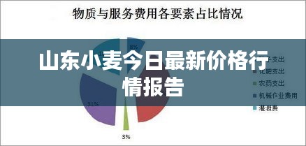 鴻飛雪爪 第4頁(yè)