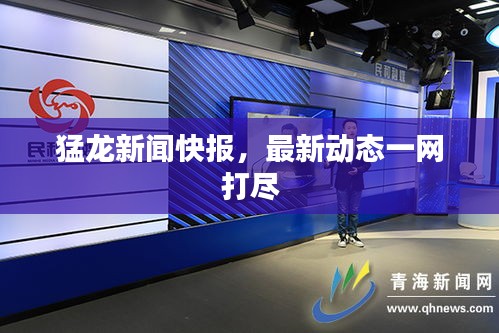 猛龍新聞快報,最新動態一網打盡