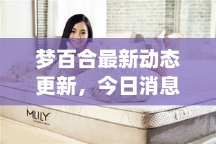 夢百合最新動態更新,今日消息一網打盡!