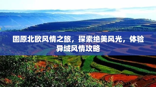 固原北歐風情之旅，探索絕美風光，體驗異域風情攻略