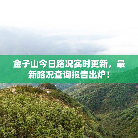 金子山今日路況實(shí)時(shí)更新,最新路況查詢報(bào)告出爐!