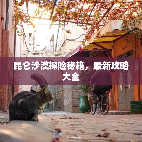 昆侖沙漠探險秘籍,最新攻略大全