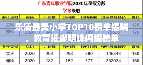 樂清最美小學TOP10榜單揭曉,教育璀璨明珠閃耀榜單