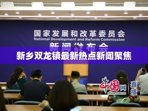 新鄉雙龍鎮最新熱點新聞聚焦