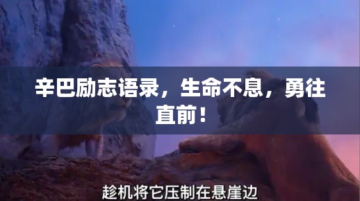 辛巴勵志語錄,生命不息,勇往直前!