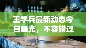 王學兵最新動態今日曝光，不容錯過！