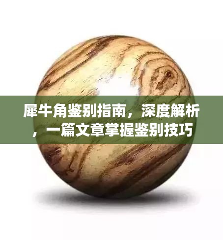 犀牛角鑒別指南，深度解析，一篇文章掌握鑒別技巧