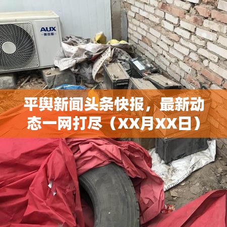 平輿新聞頭條快報,最新動態一網打盡(XX月XX日)