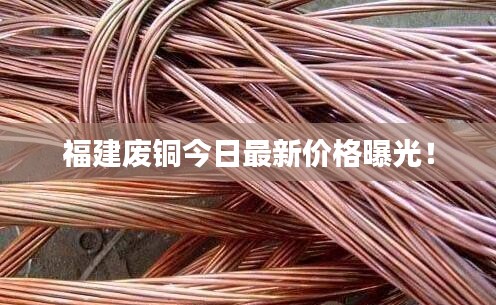 福建廢銅今日最新價格曝光！